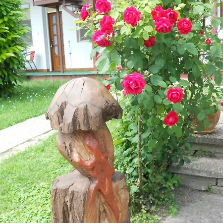 Remser Haus Apartman