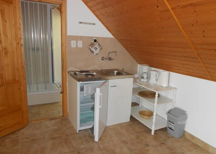 Remser Haus Apartament *