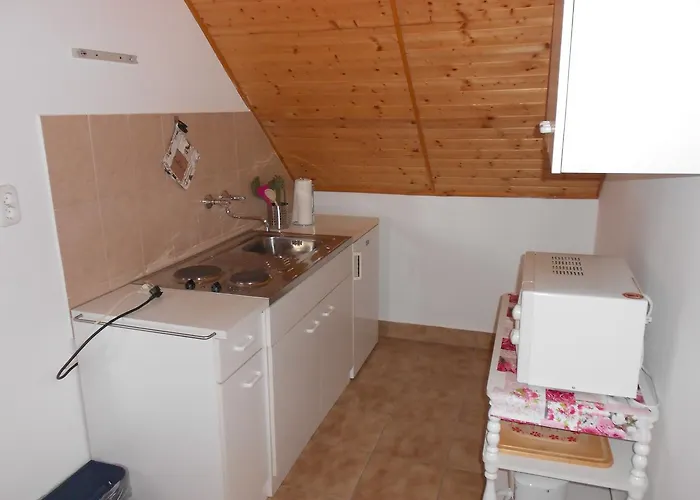 Apartament Remser Haus *