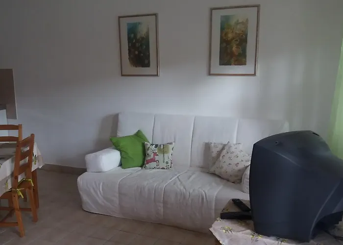 Remser Haus Apartament