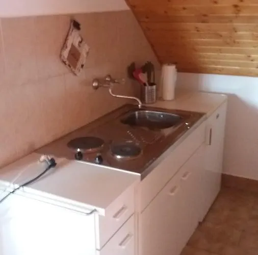 Remser Haus Apartament *