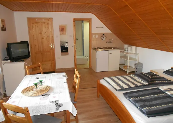 Apartament Remser Haus *
