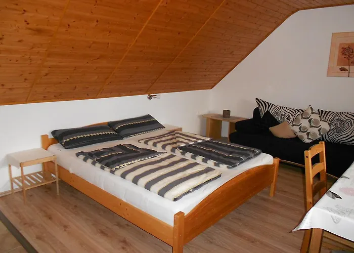 Apartament Remser Haus